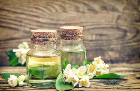 Kopp te med jasminblommor fotografering för bildbyråer Bild av