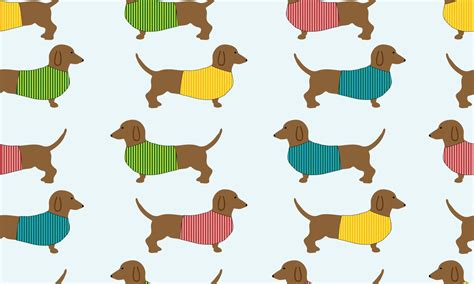 [100+] Dachshund Wallpapers | Wallpapers.com