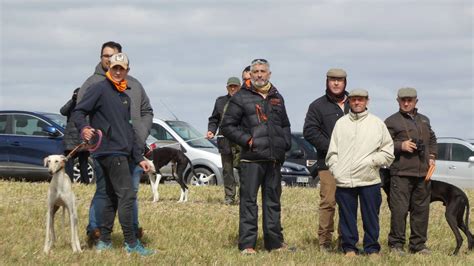 Palaciosrubios acogerá la II cita galguera estival más esperada La