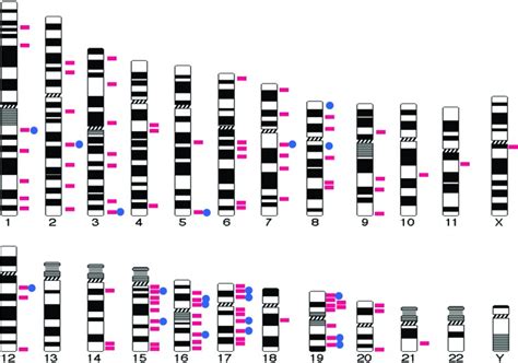 New Microdeletion And Microduplication Syndromes Discovered Over The