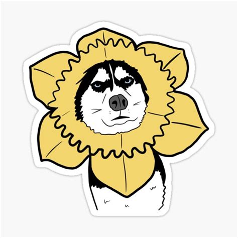 "Angry husky meme" Sticker for Sale by BrumeDesigns | Redbubble