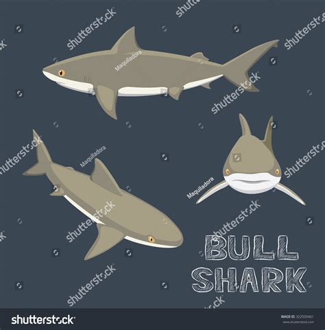 Bull Shark Cartoon Vector Illustration Stock Vector (Royalty Free ...