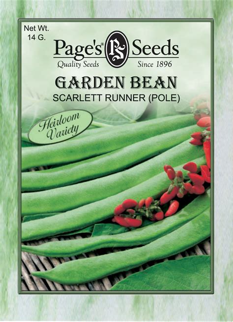 Garden Bean Scarlett Runner Pole The Page Seed Company Inc