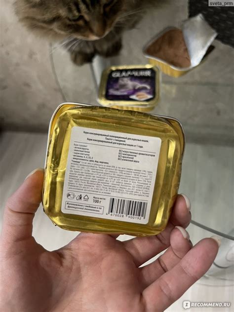Корм для кошек GLAMURR Паштет с говядиной консервирований 100 грамм ...