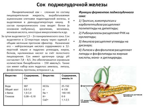 Тыква полезные свойства для поджелудочной железы - фото
