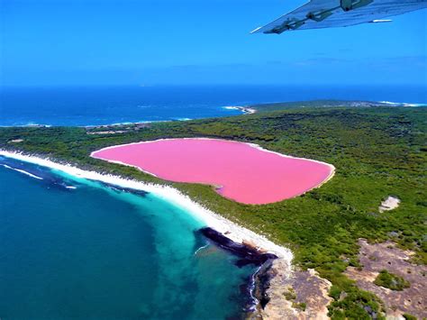 Pink Lake Hillier in Australia : r/BeAmazed