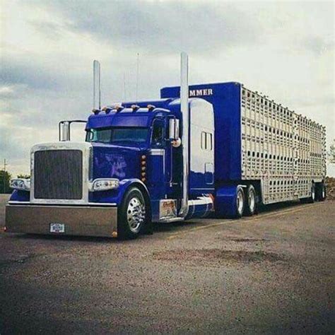 46 best images about Cattle trucks on Pinterest | Peterbilt 389 ...