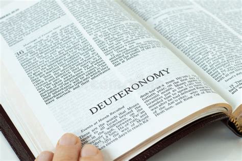 Deuteronomy Holy Bible Book A Close Up Of Open Old Testament Scripture