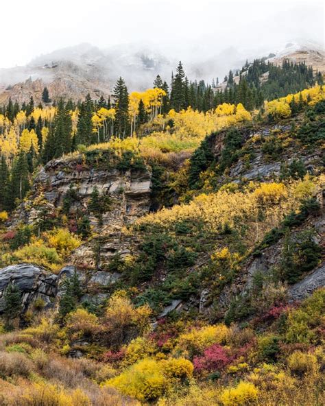 Fall Colors in Aspen, Colorado : r/pics