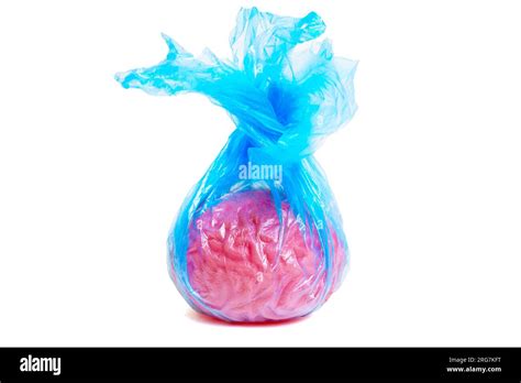 Anatomical Replica Of A Human Brain Wrapped In A Transparent Blue Trash