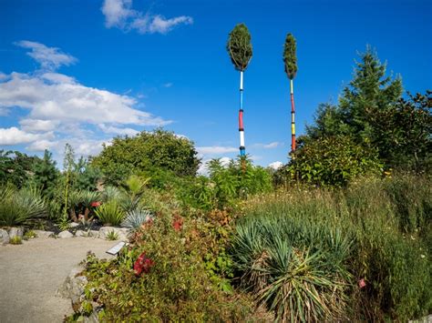 The World Garden at Lullingstone Castle - Eynsford | NGS Gardens