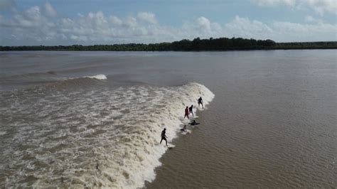 Pororoca Surfistas Desafiam Ondas Dos Rios Na Amaz Nia Brasileira