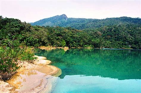 Montes Azules Celebra A Os Como Reserva De La Biosfera