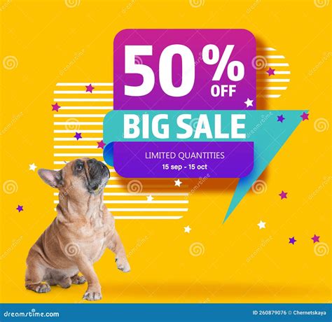 Advertising Poster Pet Shop Sale Cute Dog And Discount Offer On Yellow