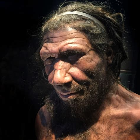 Neanderthal Face Reconstruction