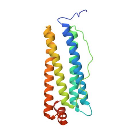 RCSB PDB 8A2L X Ray Structure Of TRIL Encapsulated Human Heavy Chain