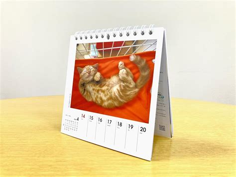 Yama-kei Calendar 2024 Nagomi Cat Weekly Calendar (Weekly Calendar ...