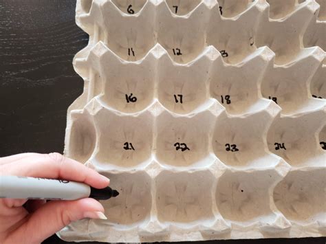 Edible Math Egg Carton Counting