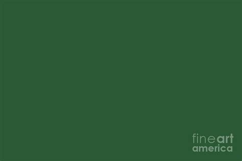 Lucky Dark Green Solid Color Pairs To Sherwin Williams Shamrock Sw 6454