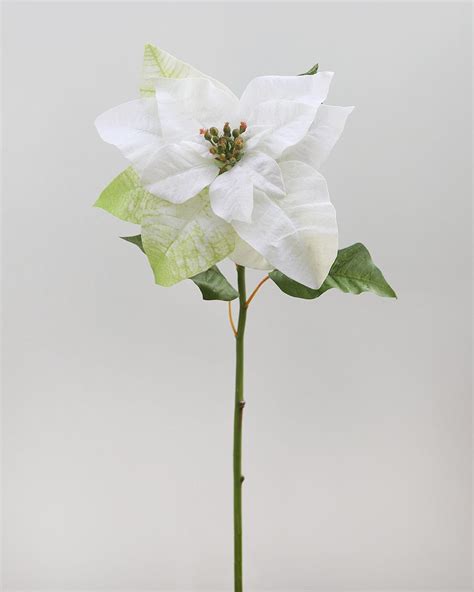 Artificial White Poinsettia 24”