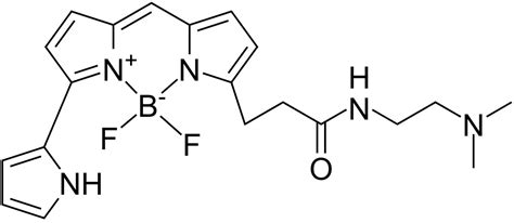 LysoBrite Red DND 99