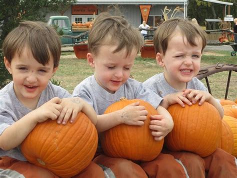 Walters Pumpkin Patch And Corn Maze Burns Ks