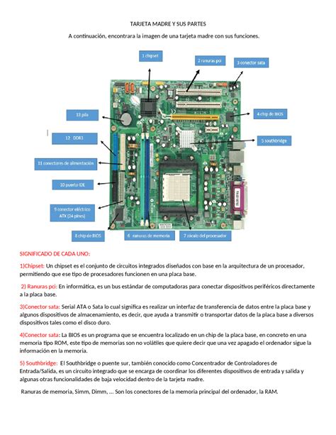 Las Partes Del Motherboard The Best Porn Website