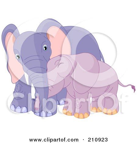 Cute Baby Purple Elephant Cuddling With Its Mother Posters, Art Prints ...