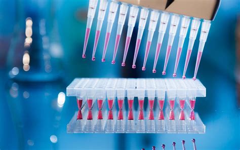 How To Perform Pcr Test In Lab At Phillip Kuhlman Blog