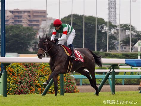 【中山11rオールカマー】ルージュバックが久々美酒！約1年ぶりの重賞制覇 競馬ニュースなら競馬のおはなし