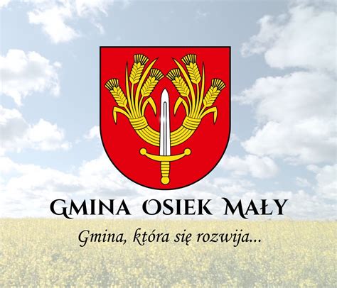 Gmina Osiek Ma Y Otrzymuje Ponad Mln Z Na Utworzenie Przedszkola