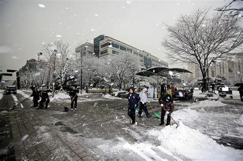 계양구 겨울철 대설·한파 대비 총력대응 추진 인천게릴라뉴스