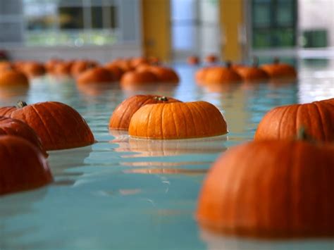 Artistic Exceed Evaporation Pumpkin Pool Float Why Not Allergy Mottle