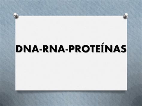 Pdf Dna Rna Prote Nas Dokumen Tips