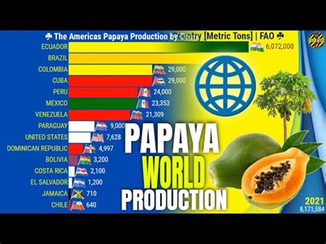 Os Maiores Produtores De Mam O Do Mundo Sia Am Ricas Frica E