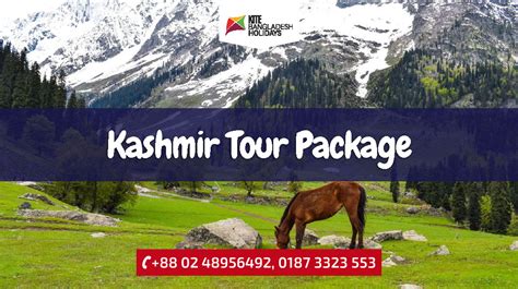 Kashmir Tour Package From Bangladesh By Road Air Dhaka To Kashmir