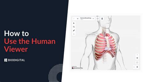 How To Use The Biodigital Human Viewer Youtube