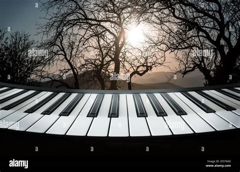 Piano Keys Against The Backdrop Of A Mountain Landscape With Trees And