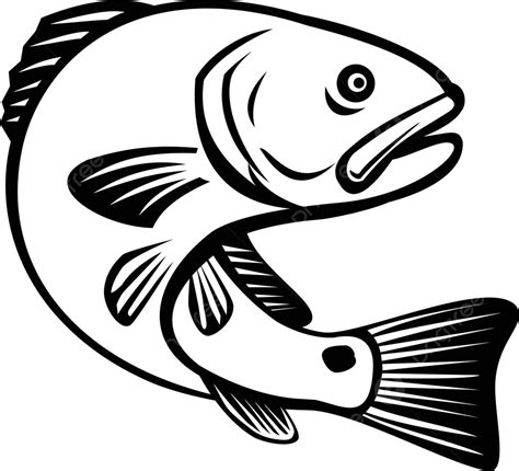 Jumping Black And White Retro Fish Retro Redfish Red Drum Vector Retro