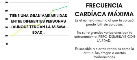 Qué Es Y Como Calcular La Frecuencia CardÍaca MÁxima Bonus