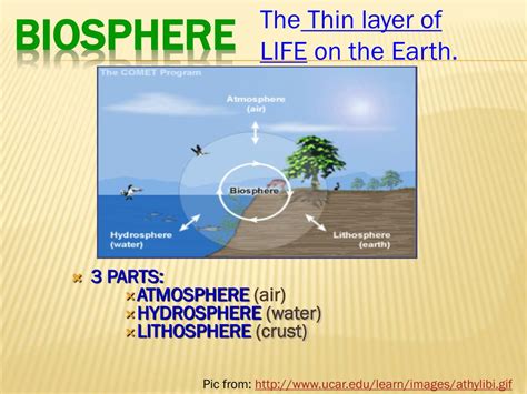 PPT - Biosphere PowerPoint Presentation, free download - ID:1606666