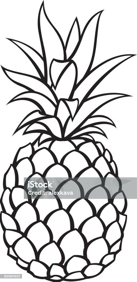 Gambar Buah Nanas Ilustrasi Stok Unduh Gambar Sekarang Adiboga