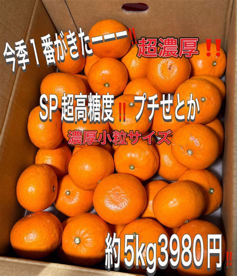 超濃厚がきたーーー‼️数量限定‼️sp超高糖度 中島プチせとか約5k3980円32 メルカリ