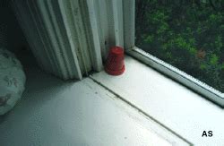 Homemade Ant Traps