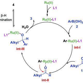 Proposed reaction mechanism for the MnCl2.4H2O-catalysed methoximation ...