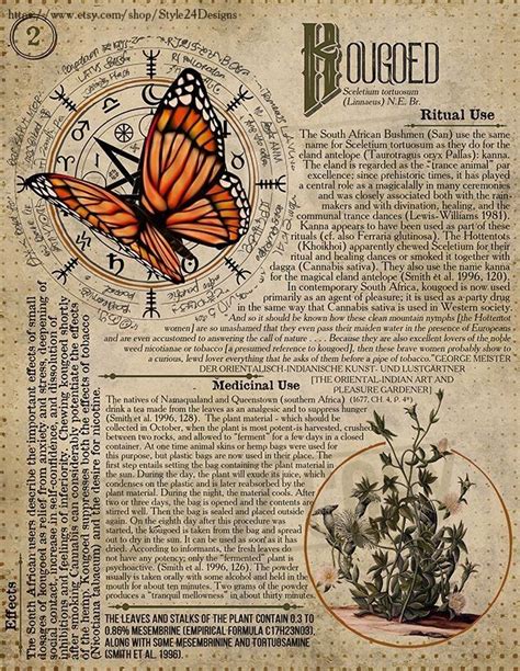 Pin By Kristine Dawn Atkins On Wicca Plants Book Of Shadows Shadow