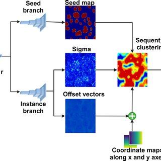 Pdf Nuclei Instance Segmentation From Histopathology Images Using