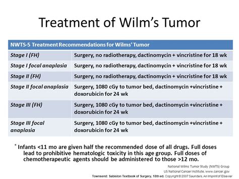 Wilms Tumor What To Know