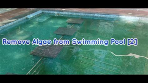 How To Remove Algae From Swimming Pool New Pool Part 2 Youtube