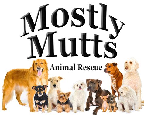 mostly mutts animal rescue